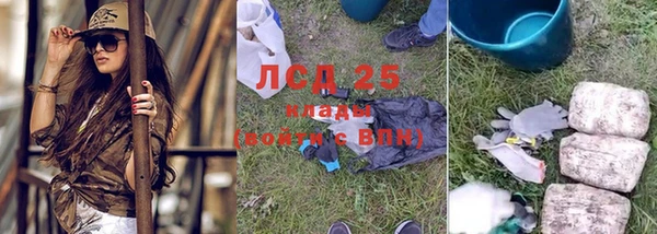 дмт Алзамай