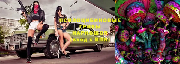 дмт Алзамай
