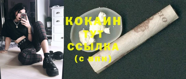 спайс Алексин