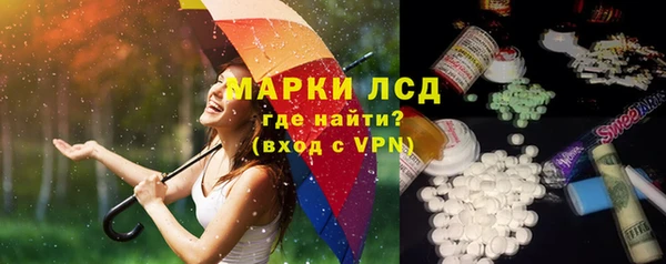 дмт Алзамай