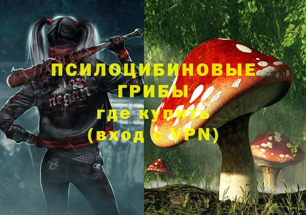 спайс Алексин