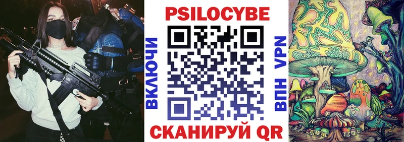 Псилоцибиновые грибы Cubensis  Ермолино 
